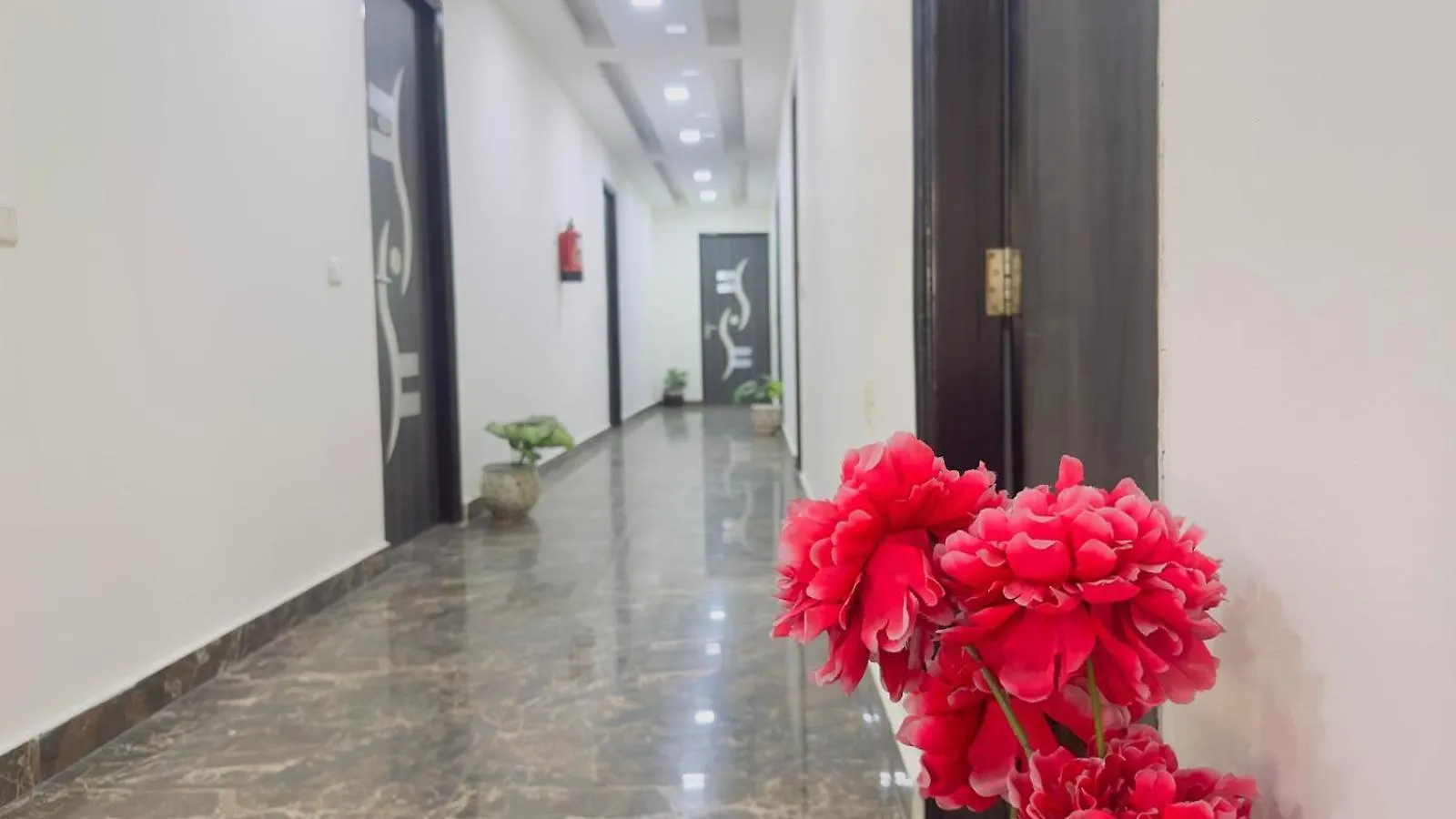 Kabul Hotel By Nexhub Palace - Medanta غورغاون 3*,